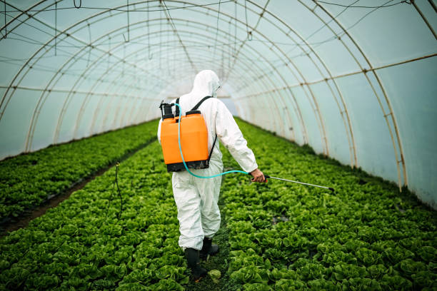 Pest Control Cost in Brock Hall, MD