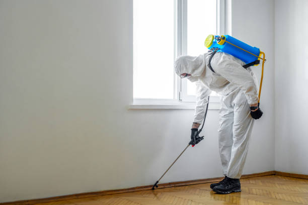 Best Termite Control Services  in Brock Hall, MD