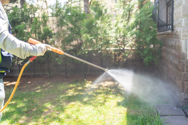 Best Wasp Removal Services  in Brock Hall, MD