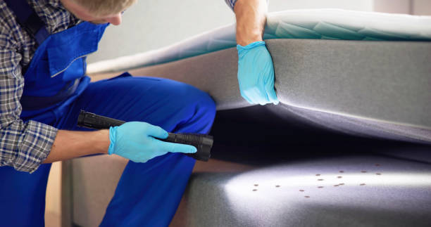 Best Pest Removal Services  in Brock Hall, MD